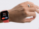 Enabling Hand Gesture Customization on Wrist-Worn Devices